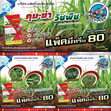 แพ็คมีทรีน80